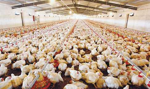 u=893725739，661242759&fm=26&gp=0