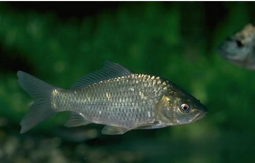 u=3916459304，1177481820&fm=26&gp=0