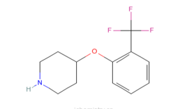 u=2392121129，4156403521&fm=26&gp=0