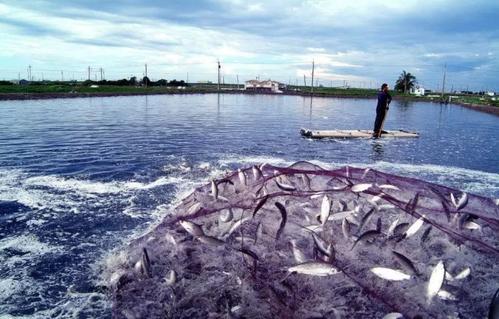 u=3704457958，3900591702&fm=26&gp=0