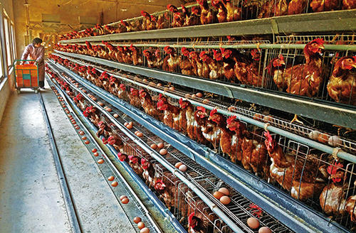 u=66783547，710034321&fm=26&gp=0