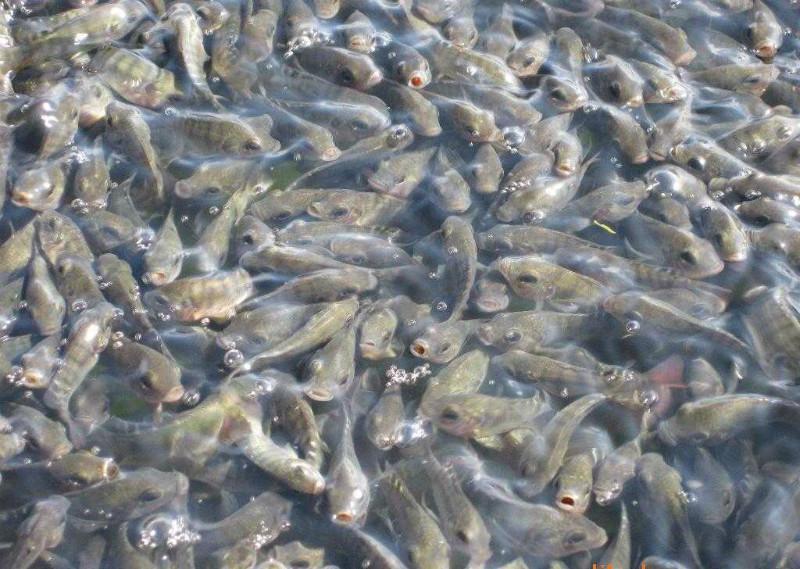 src=http___file.youboy.com_d_119_17_38_7_273777s&refer=http___file.youboy.jpg src=http___file.youboy.com_d_119_17_38_7_273777s&refer=http___file.youboy.jpg