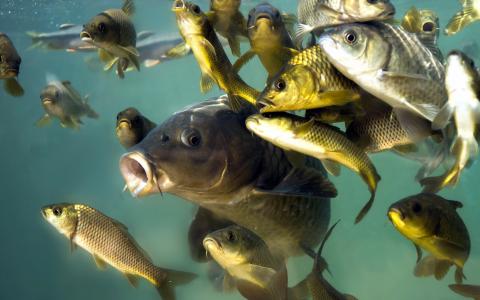 src=http___up.deskbizhi.com_pic_360_4f_07_b6_4f07b622952e7672954536a05c0a097a&refer=http___up.deskbizhi.jpg src=http___up.deskbizhi.com_pic_360_4f_07_b6_4f07b622952e7672954536a05c0a097a&refer=http___up.deskbizhi.jpg