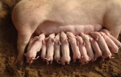 20180224071712611 20180224071712611