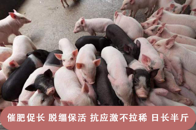 021993a8b8d9430692e773b4dc771b05 021993a8b8d9430692e773b4dc771b05