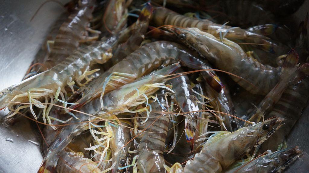 src=http___cp1.douguo.net_upload_caiku_3_4_f_yuan_342082088fd999dfb89e008874622d7f&refer=http___cp1.douguo.jpg src=http___cp1.douguo.net_upload_caiku_3_4_f_yuan_342082088fd999dfb89e008874622d7f&refer=http___cp1.douguo.jpg