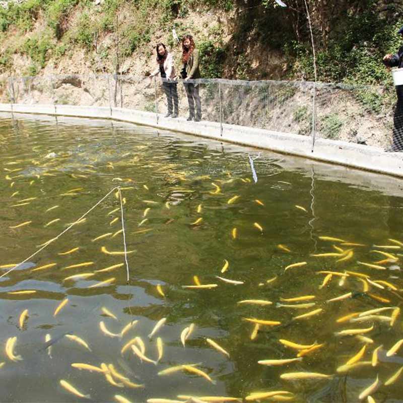 畫(huà)板 13 畫(huà)板 13