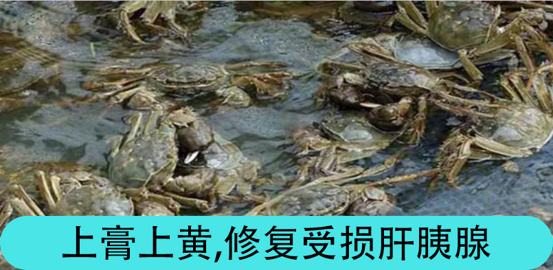 QQ圖片20210802163942 QQ圖片20210802163942