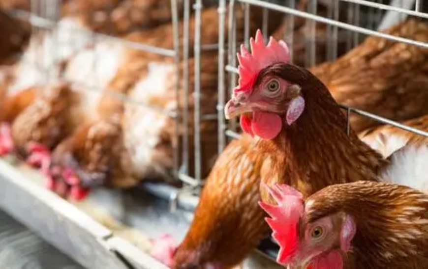 QQ圖片20210804134400 QQ圖片20210804134400