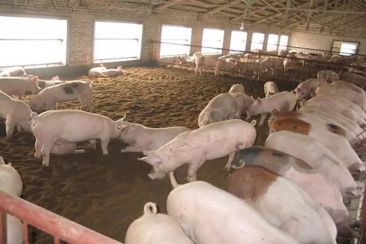 src=http___img.mp.sohu.com_upload_20170801_eaf764f84f924ef9b5e133c3ddf9f32c_th.png&refer=http___img.mp.sohu src=http___img.mp.sohu.com_upload_20170801_eaf764f84f924ef9b5e133c3ddf9f32c_th.png&refer=http___img.mp.sohu