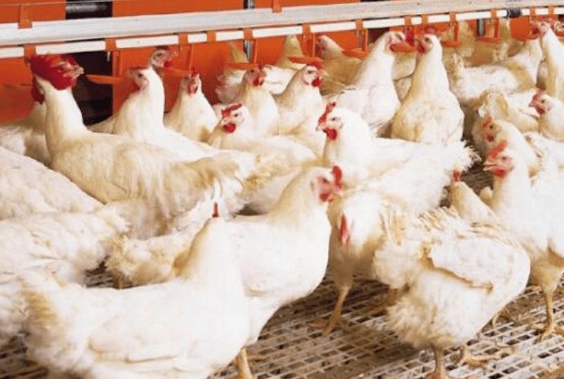 src=http___p4.itc.cn_q_70_images03_20200619_9527e76e47844c1dac5a8bbc51e0e9fe.png&refer=http___p4.itc src=http___p4.itc.cn_q_70_images03_20200619_9527e76e47844c1dac5a8bbc51e0e9fe.png&refer=http___p4.itc