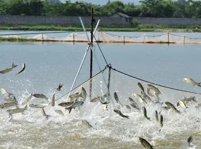 284bc7607625449e8218acae0d8d0046 284bc7607625449e8218acae0d8d0046