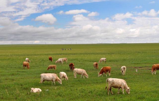 b999a9014c086e064b5a702cfae42cf208d1cbde b999a9014c086e064b5a702cfae42cf208d1cbde