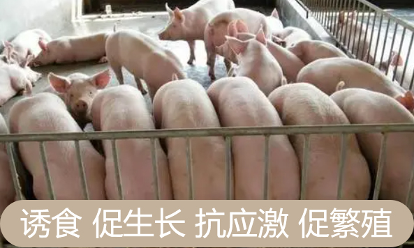 18e29725531ac8ad9cef897876cbafd 18e29725531ac8ad9cef897876cbafd