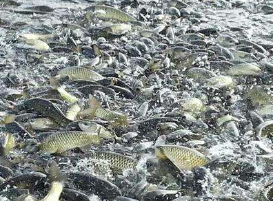 QQ圖片20211214155625 QQ圖片20211214155625