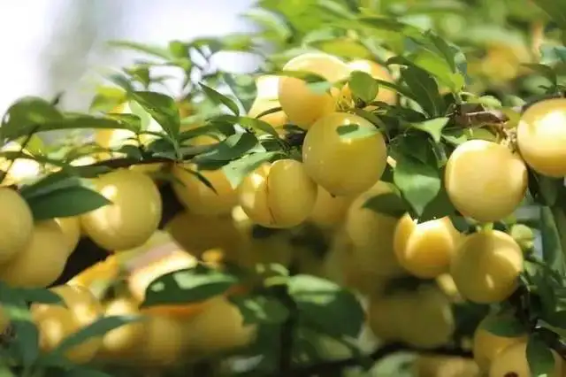 1647323241(1) 1647323241(1)