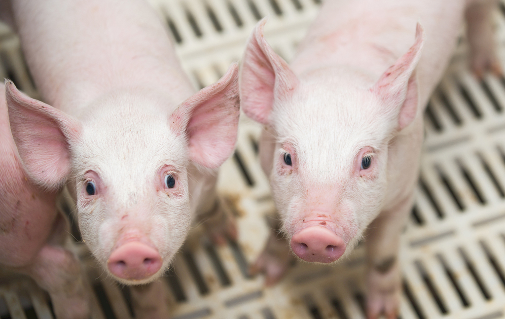 12304177_170614794000_2 12304177_170614794000_2