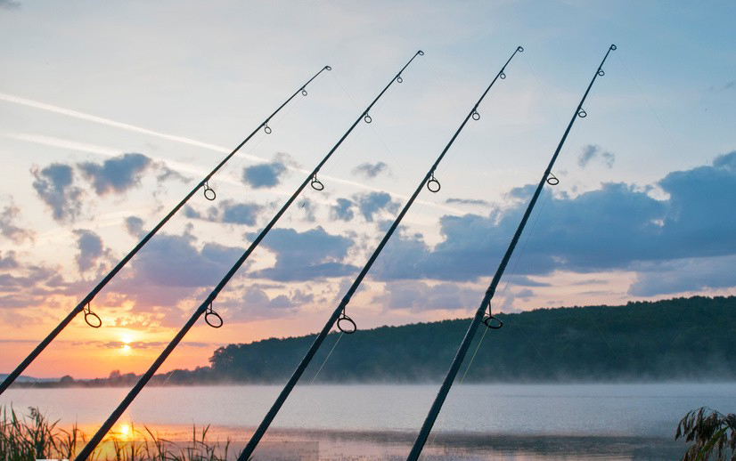 924828350051385428 924828350051385428