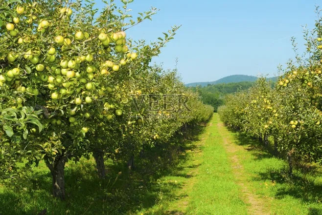 webp.webp (95) webp.webp (95)