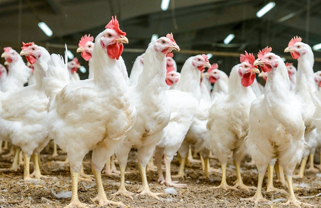 9606491_135712354000_2 9606491_135712354000_2