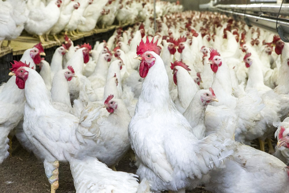 1000578636812910599 1000578636812910599