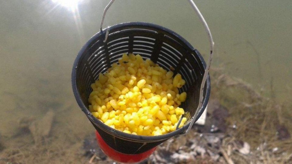 201906101617124KOe 201906101617124KOe