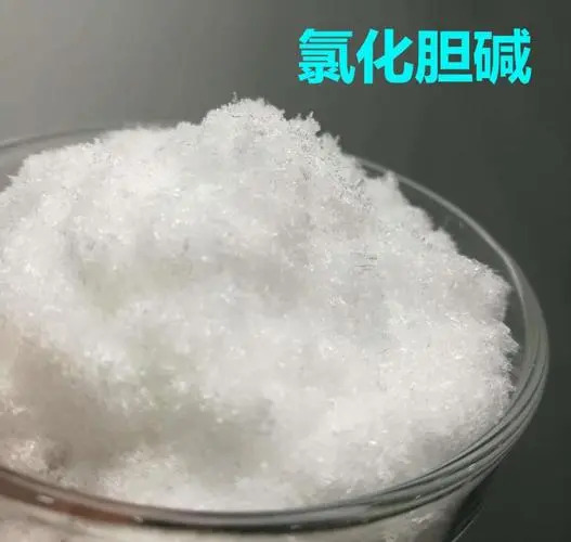 氯化膽堿：開(kāi)啟健康飼料新時(shí)代的神奇添加劑