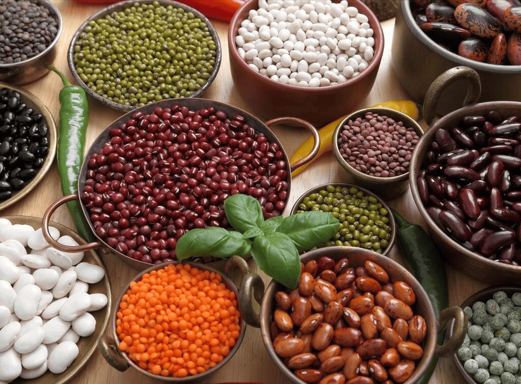 左旋肉堿：點(diǎn)燃禽業(yè)革命，激發(fā)雞群潛能，開啟高產(chǎn)時(shí)代！