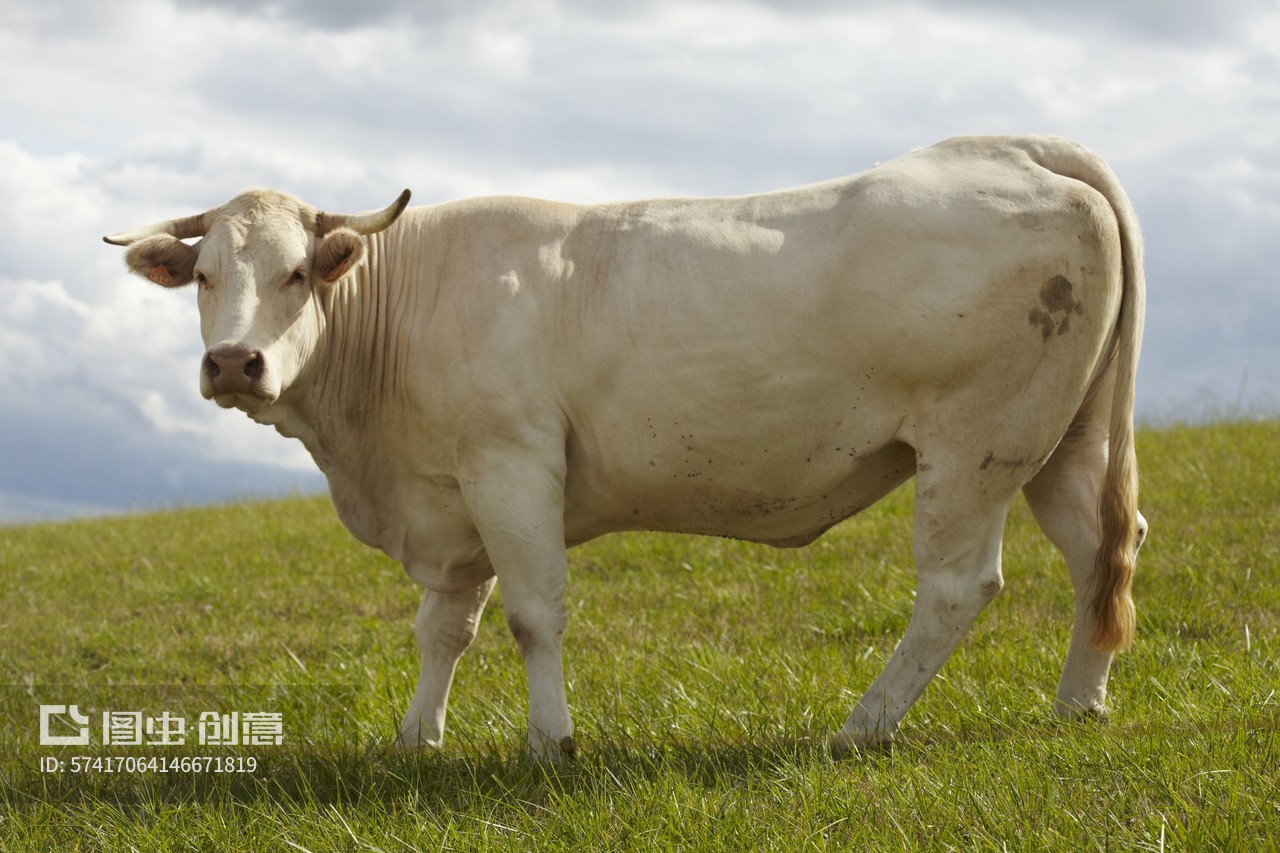 料誘食性低，適口性差怎么來(lái)解決這個(gè)問(wèn)題
