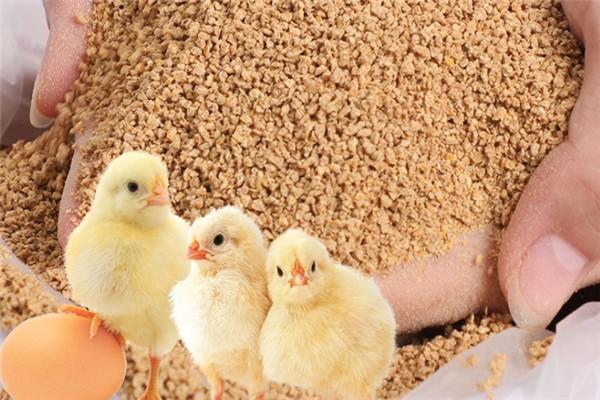 探索氯化膽堿的魔力：激發(fā)蛋氨酸活力，提高必需氨基酸利用率