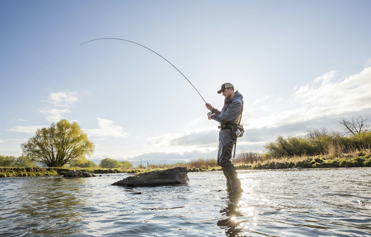 甜菜堿鹽酸鹽：嗅覺(jué)和味覺(jué)的餌料魔力，引爆動(dòng)物的食欲狂潮