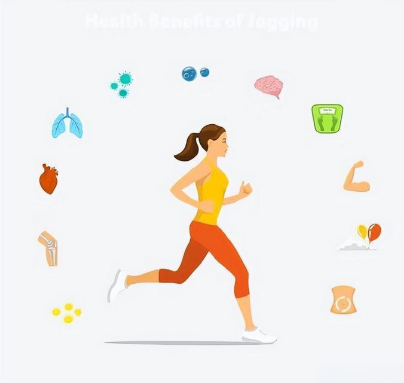 左旋肉堿：加速有害物質(zhì)代謝，提升運動表現(xiàn)的秘密武器