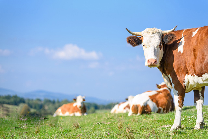 919107505153376315 919107505153376315