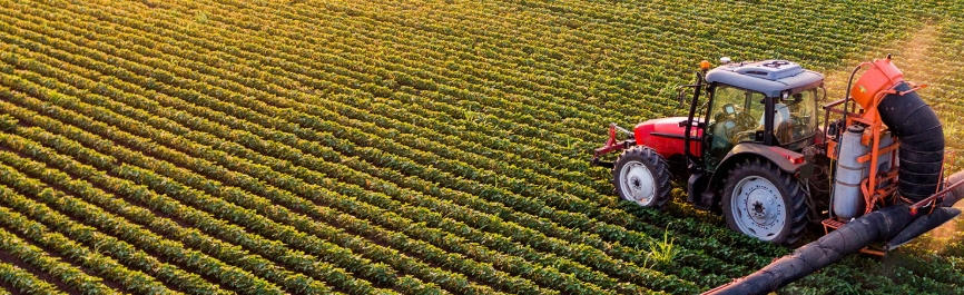 農(nóng)業(yè)無水甜菜堿-1