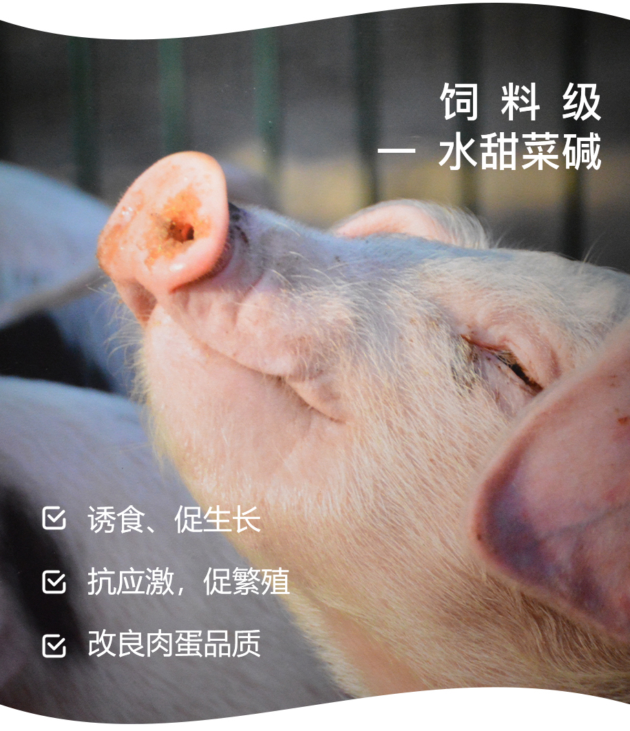 飼料級(jí)一水甜菜堿_02