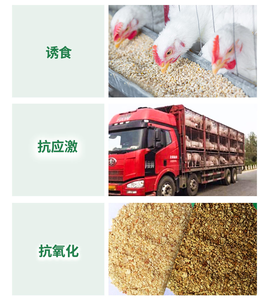 復(fù)合甜菜堿飼料級(jí)_08