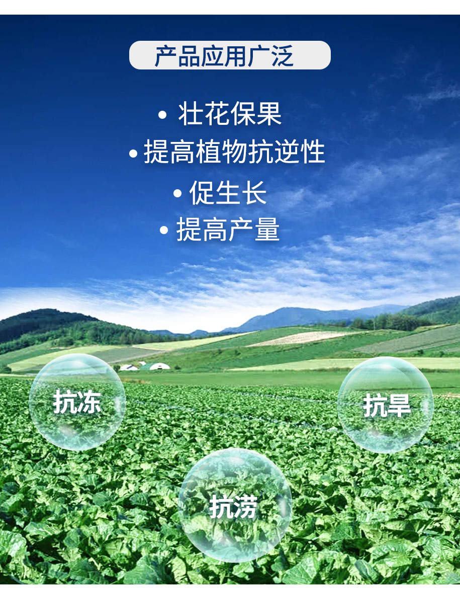 無水甜菜堿農業(yè)級_07