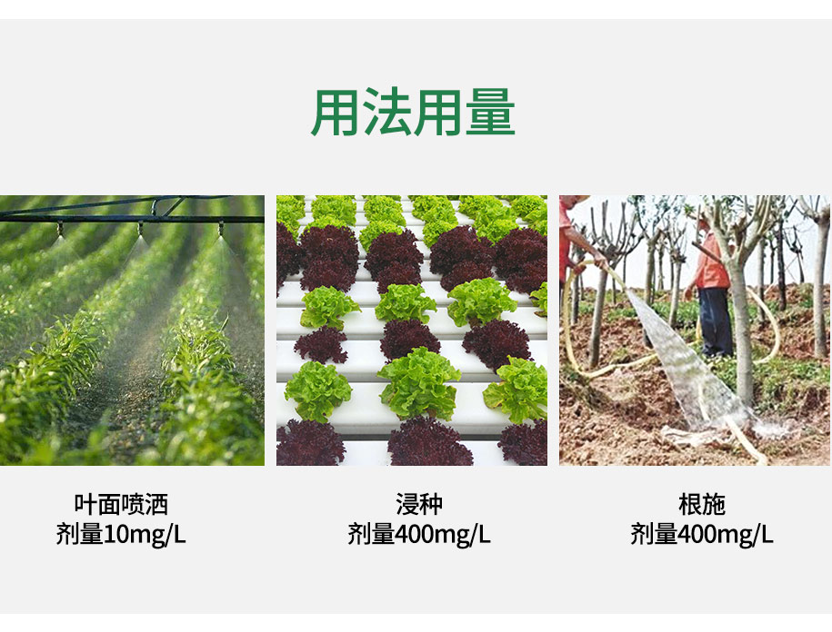 無水甜菜堿農業(yè)級_09